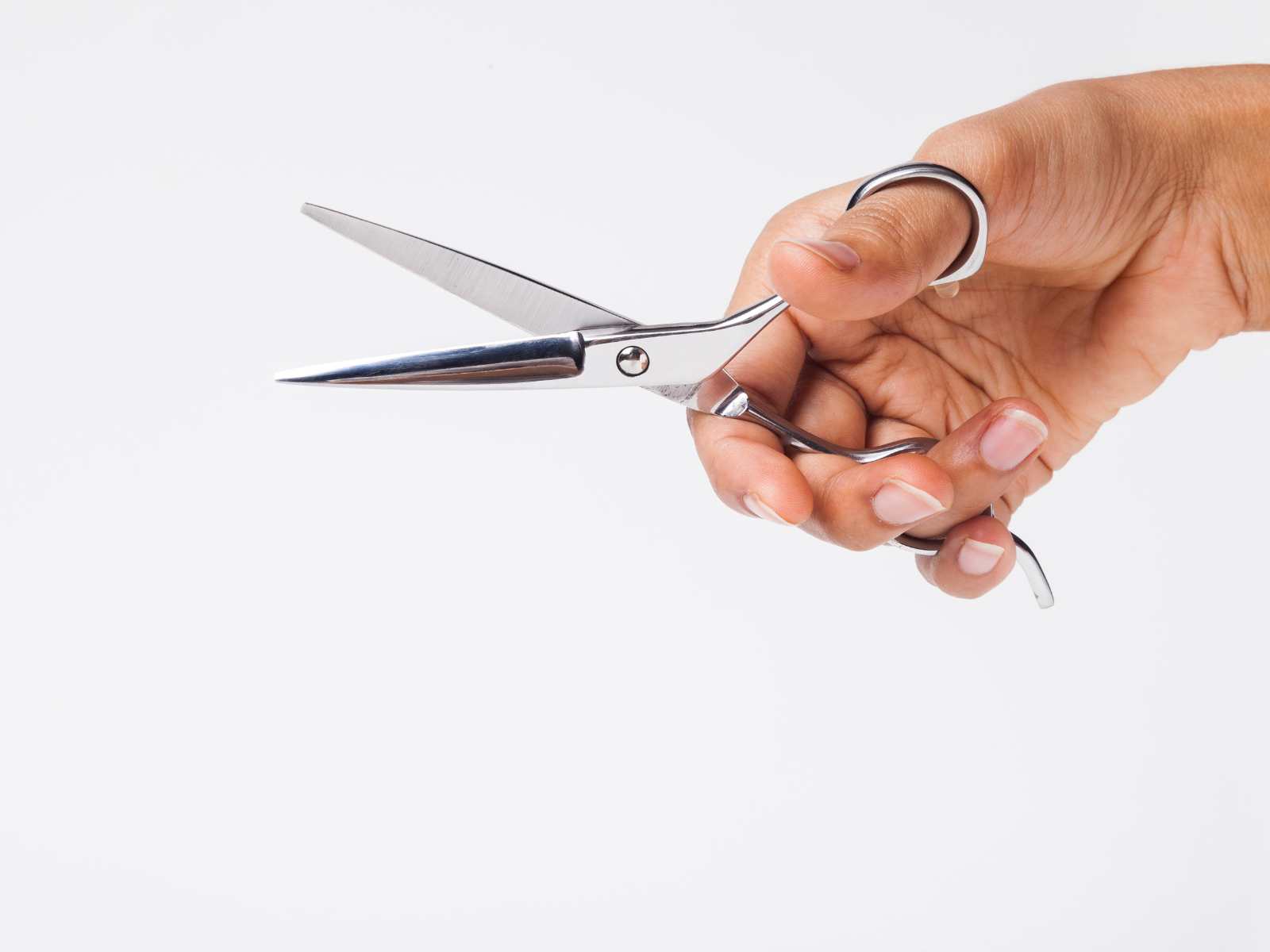 SUNCRAFT Small kitchen scissors, left-handed – HIDARI｜A joyful left-handed  life