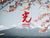 hikari scissor logo over mount fuji in Japan