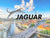 Jaguar Scissors